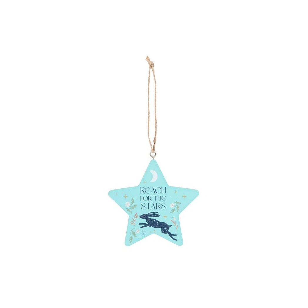 Reach for the Stars Hare Hanging Decoration