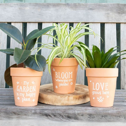 Bloom Where You Are Planted Terracotta Plant Pot