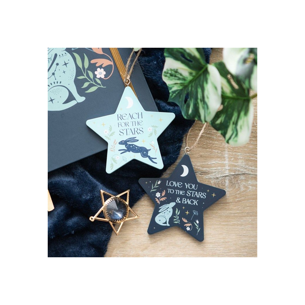 Reach for the Stars Hare Hanging Decoration