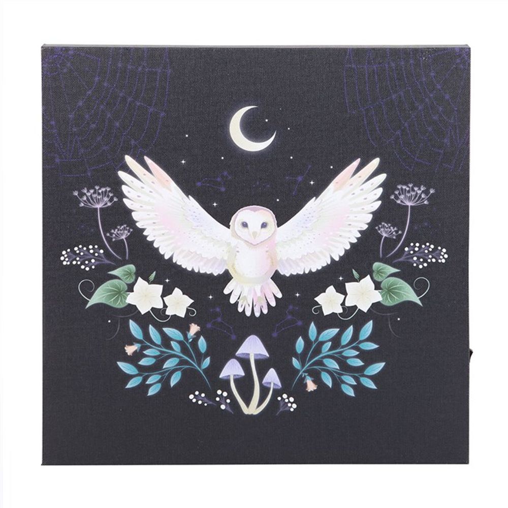 Midnight Moth Light Up Canvas Plaque