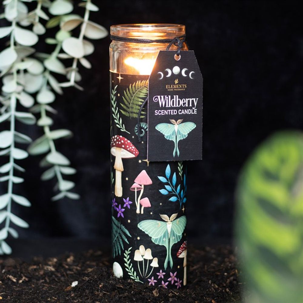 Dark Forest Wildberry Tube Candle