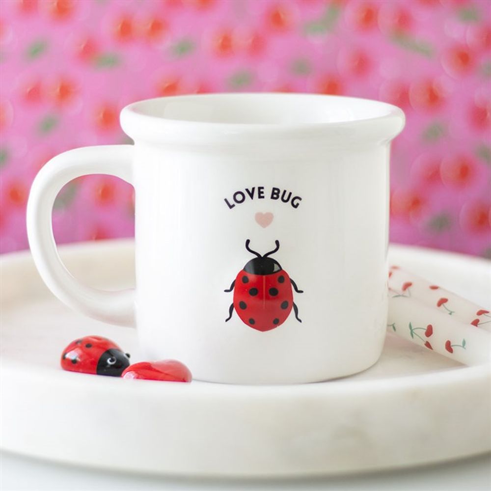 Love Bug Mug with 3D Ladybird